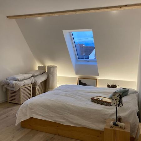 Neues Penthouse-Loft Mit Konuskarte Fuer Gratis Oepnv Διαμέρισμα Ehrenkirchen Εξωτερικό φωτογραφία