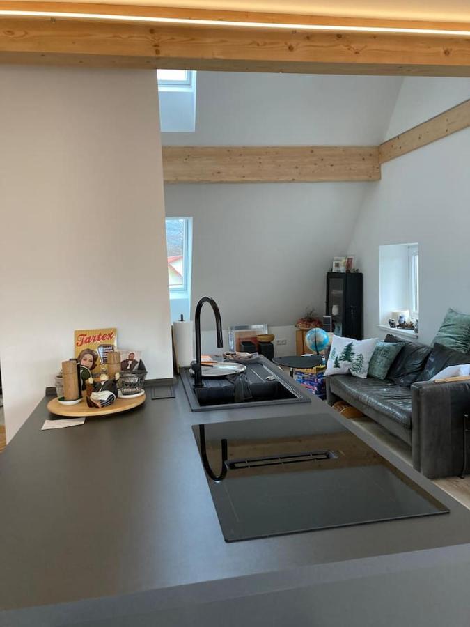 Neues Penthouse-Loft Mit Konuskarte Fuer Gratis Oepnv Διαμέρισμα Ehrenkirchen Εξωτερικό φωτογραφία