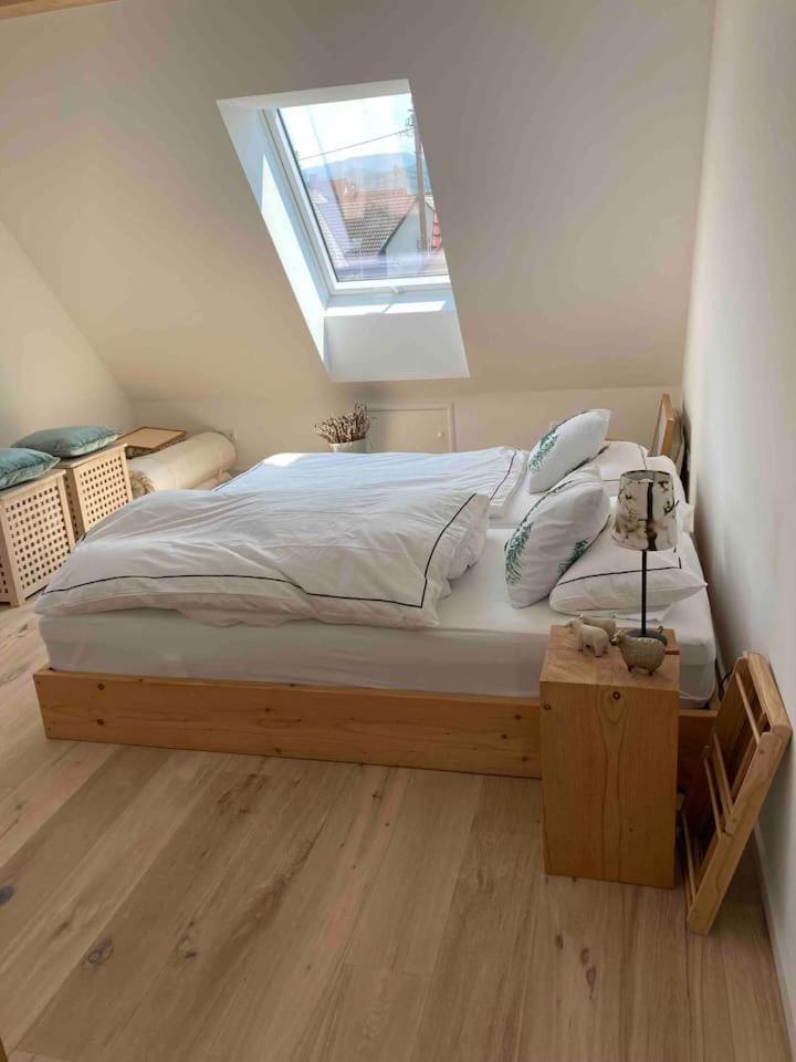 Neues Penthouse-Loft Mit Konuskarte Fuer Gratis Oepnv Διαμέρισμα Ehrenkirchen Εξωτερικό φωτογραφία